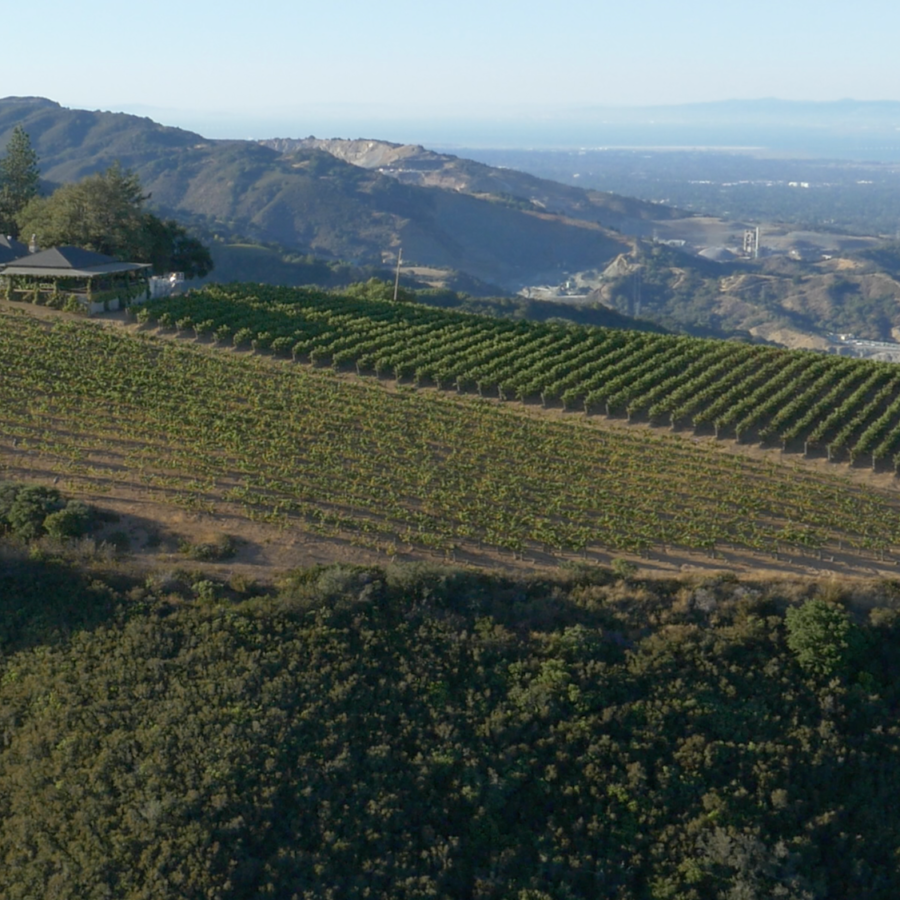 Mount Eden Vineyards