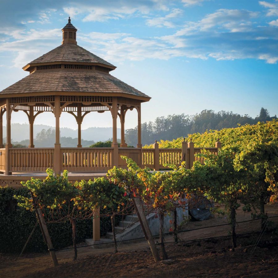 Regan Vineyards & Winery