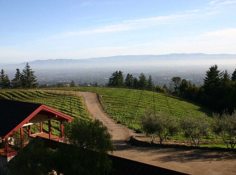 Domaine Eden