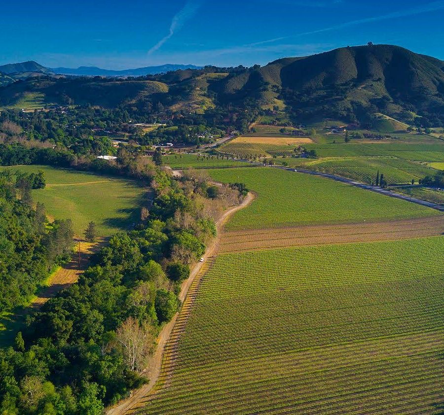 Dorcich Family Vineyards