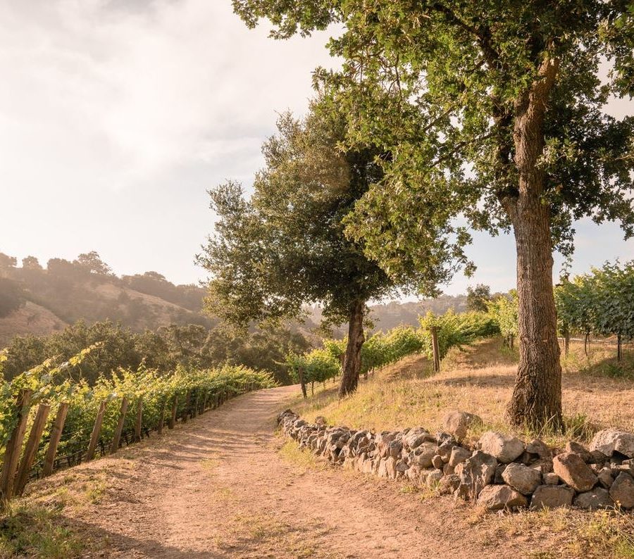 Eden Estate Wines