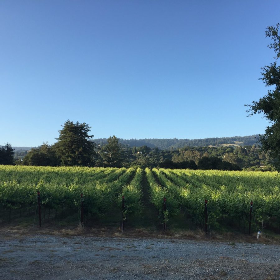 Gali Vineyards
