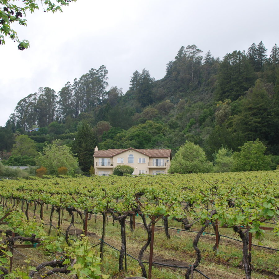 Nicholson Vineyards