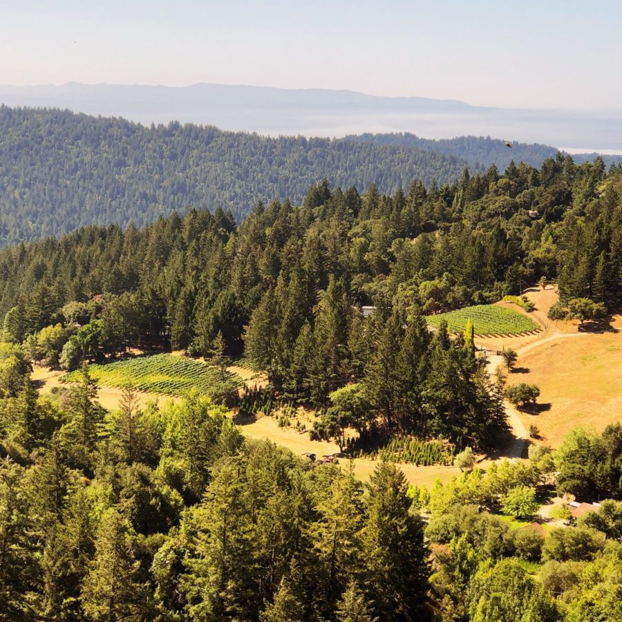 Radonich Brothers Vineyards