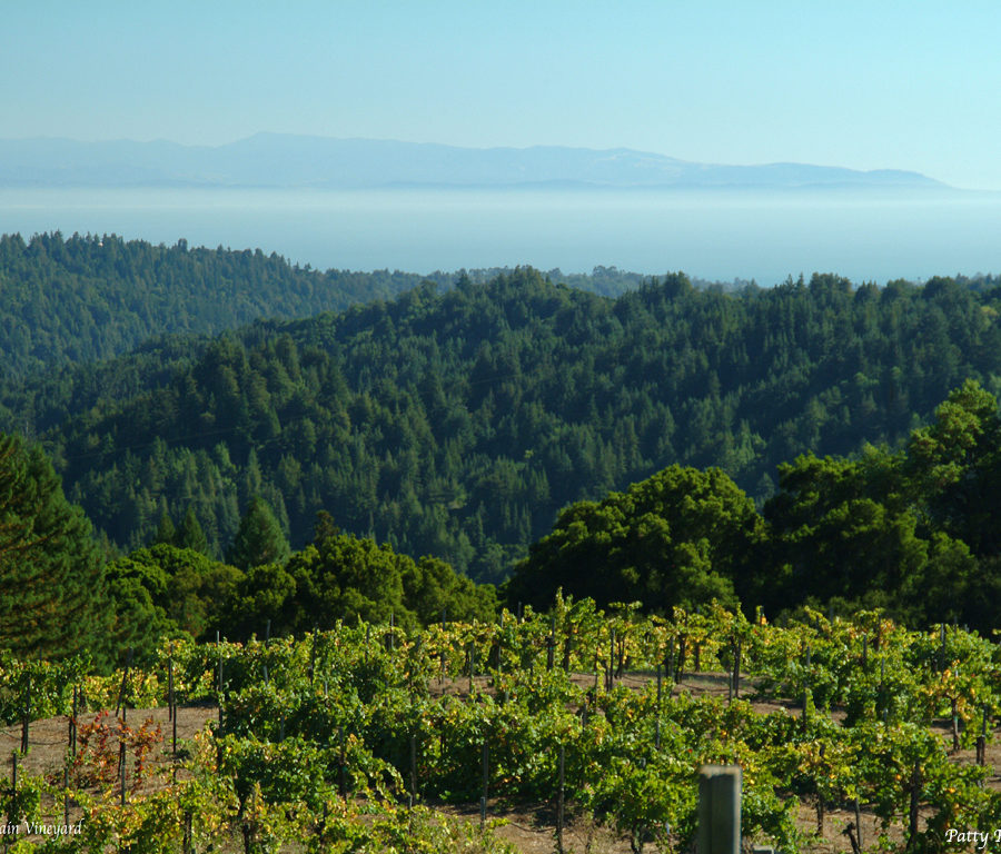 Wineries Archive Wines of the Santa Cruz Mountains