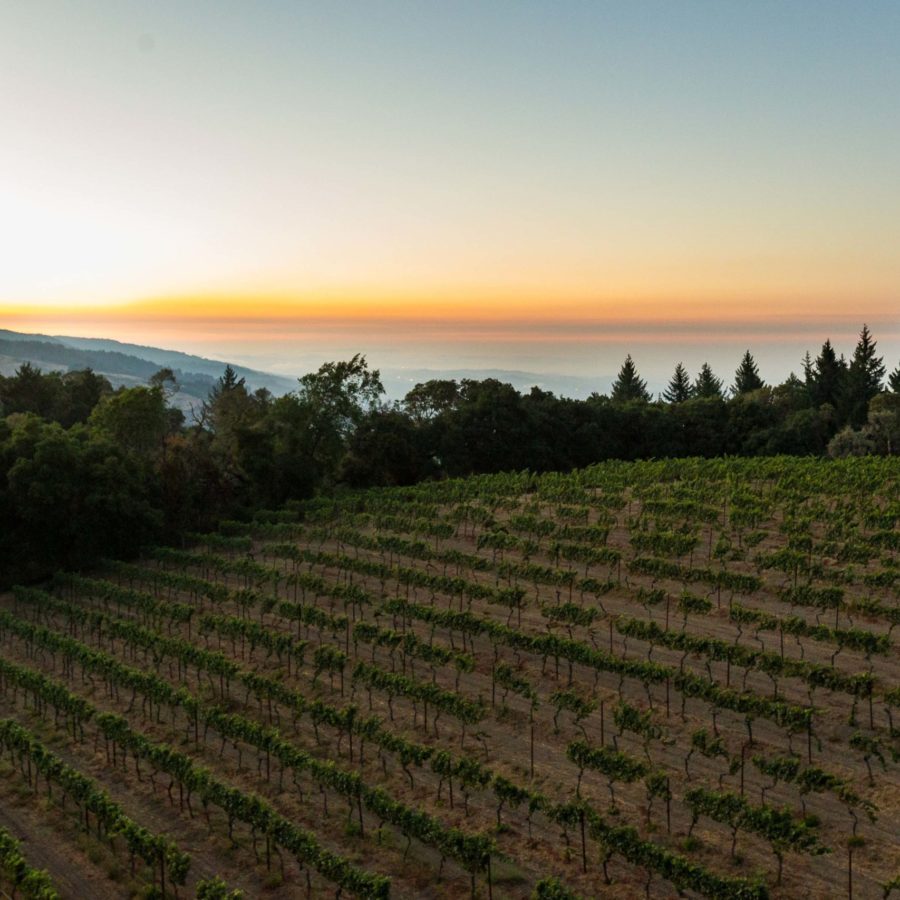 Thomas Fogarty Winery & Vineyards