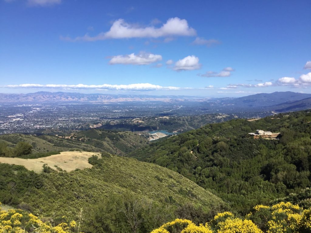 Vidovich Vineyards Discover Santa Cruz Mountains Wineries