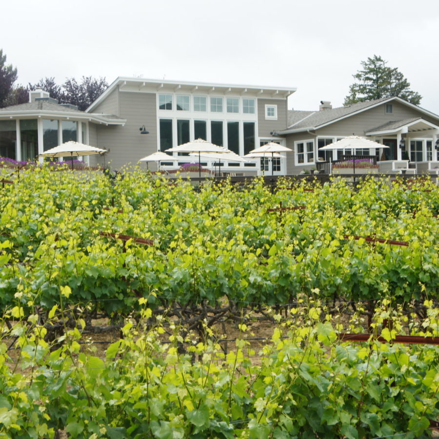 Wineries Archive Wines of the Santa Cruz Mountains