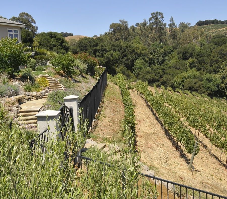 La Honda Winery