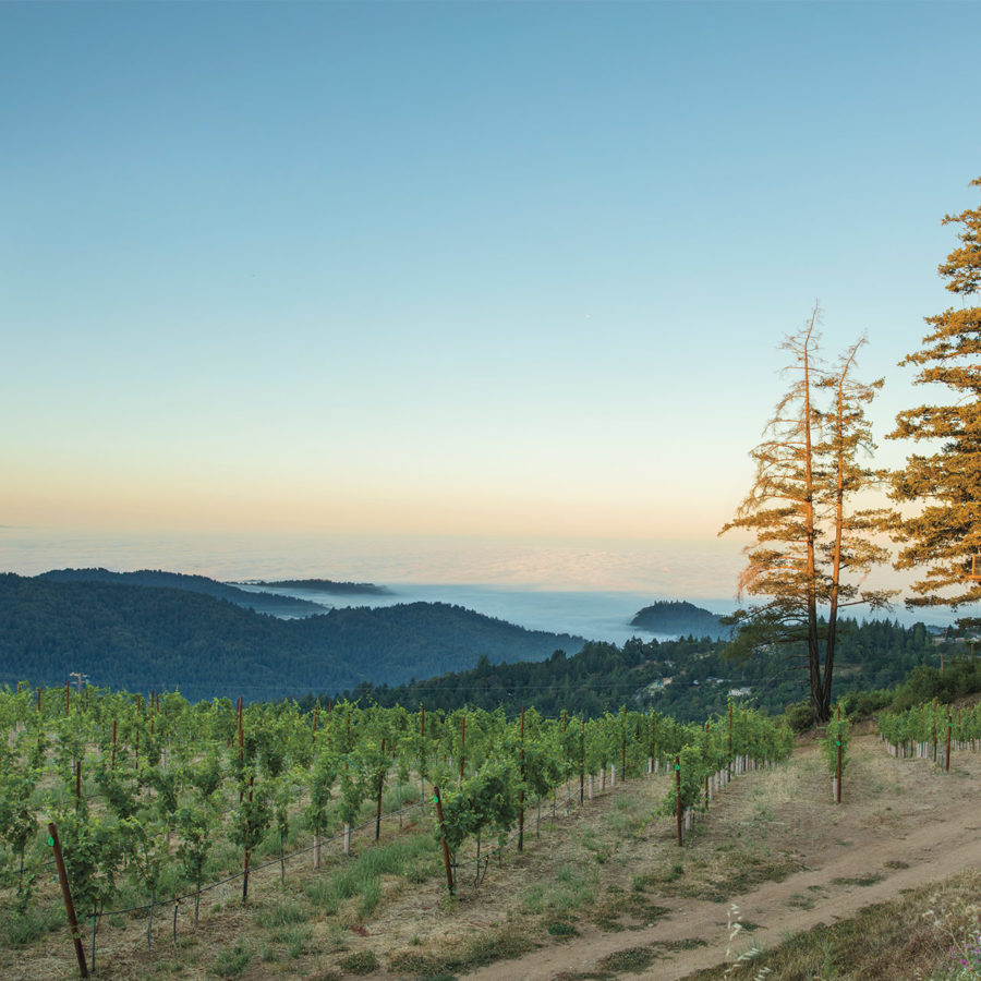 Wineries Archive Wines of the Santa Cruz Mountains