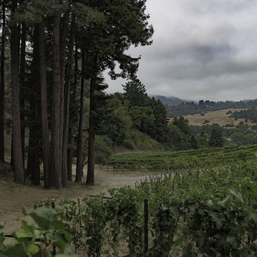 Ferrari Ranch Wines