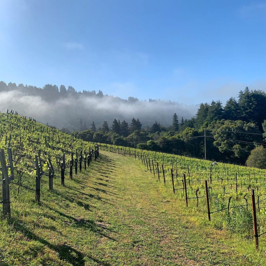 Madson Wines