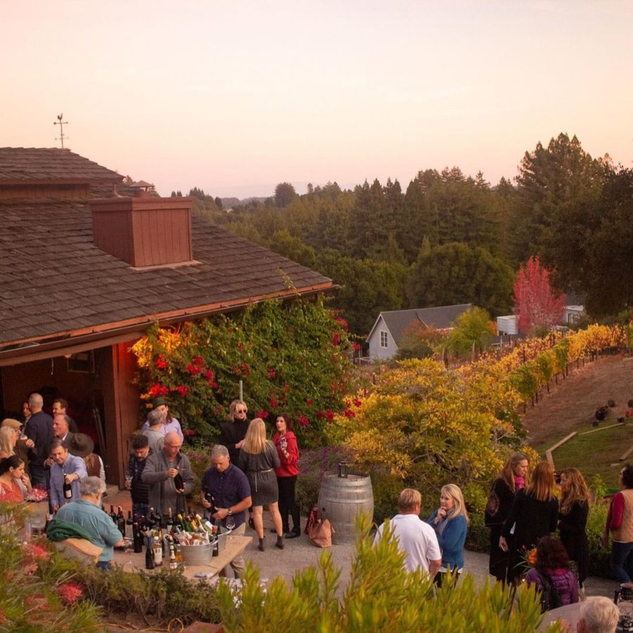 Charmant Vineyards