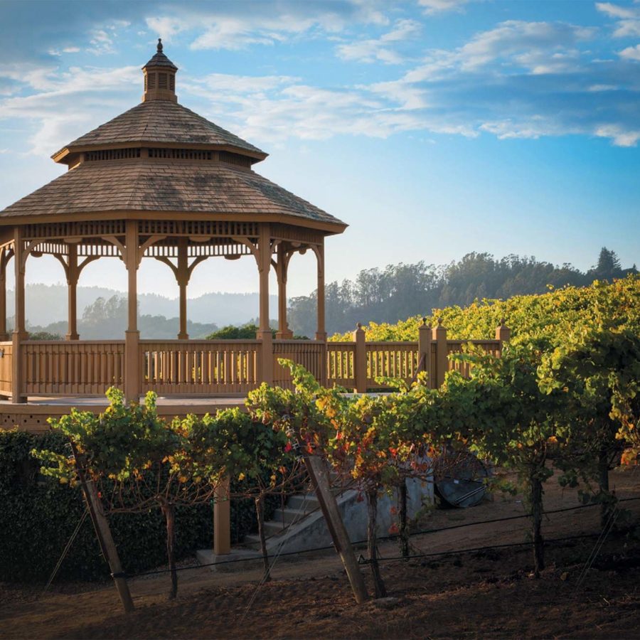 A gazebo on Regan Vineyards with a cloudy, blue sky in the background