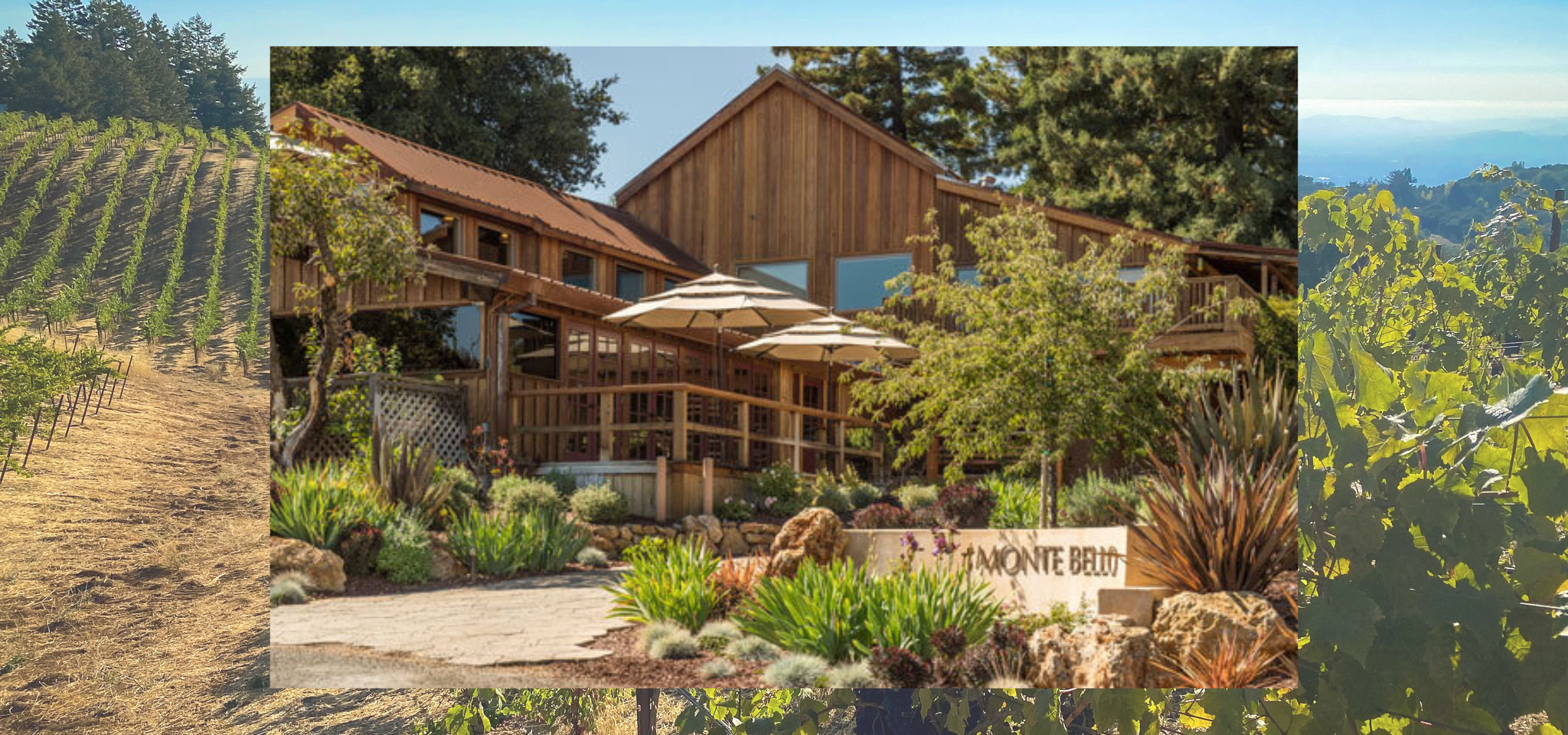 the exterior of the wooden Ridge Monte Bello tasting room with a couple of outdoor umbrellas, shrubs and trees