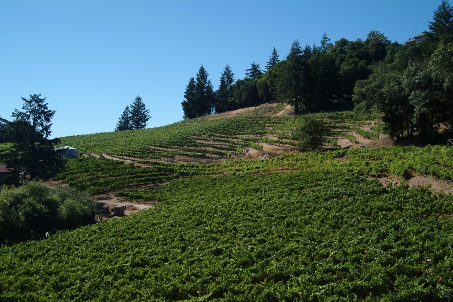 2025 Taste of Terroir Dinner Series - Wines of the Santa Cruz Mountains