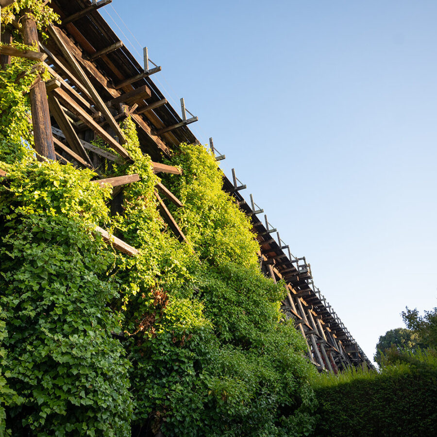 Trestles Restaurant