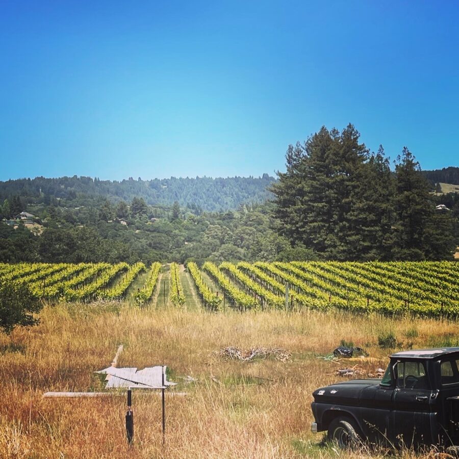 Samuel Louis Wines