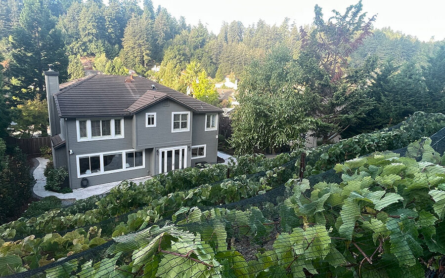 Madison Sweet Cellars
