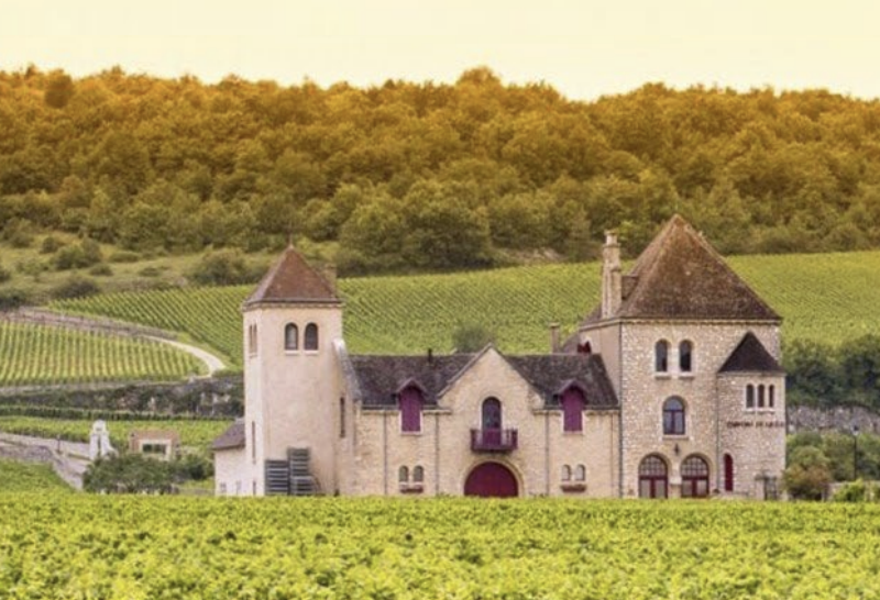 Savor the Flavors of Burgundy