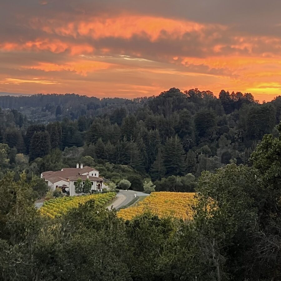 Harvest Dinner at Rosscienda Vineyard